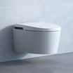 LAUFEN Cleanet - ALVIA